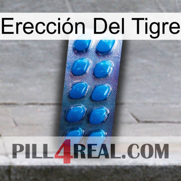 Erección Del Tigre viagra1.jpg